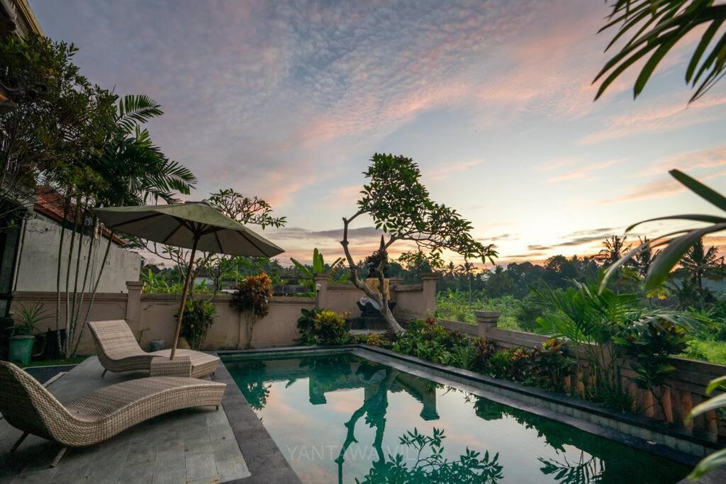 Beautiful 3 Bedroom Jungle View Ubud  Luaran gambar