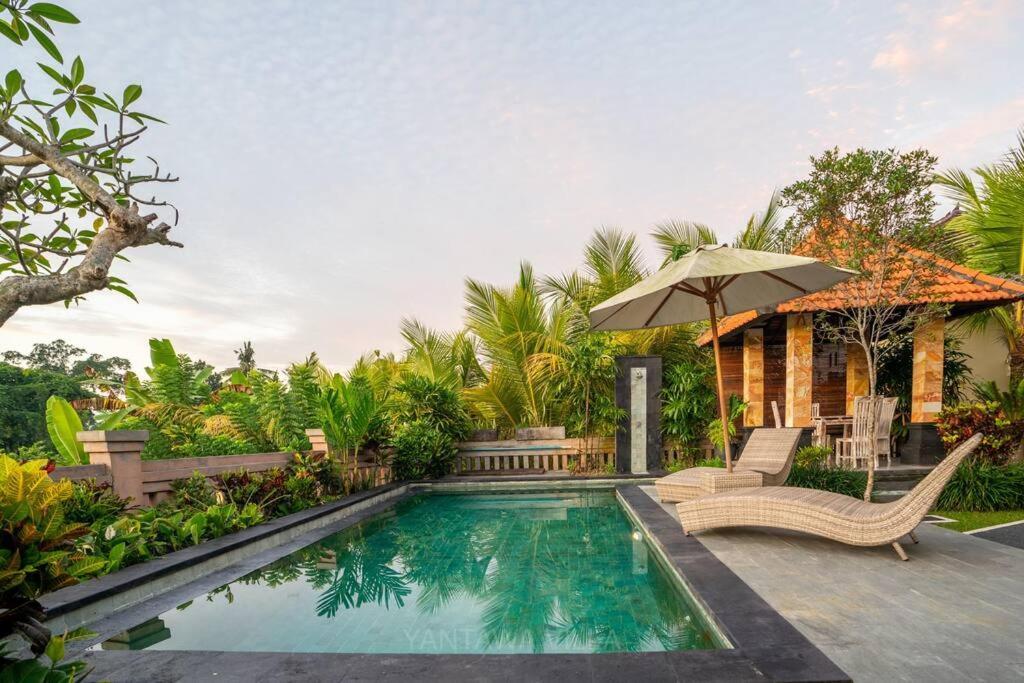 Beautiful 3 Bedroom Jungle View Ubud  Luaran gambar