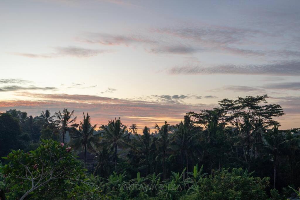 Beautiful 3 Bedroom Jungle View Ubud  Luaran gambar